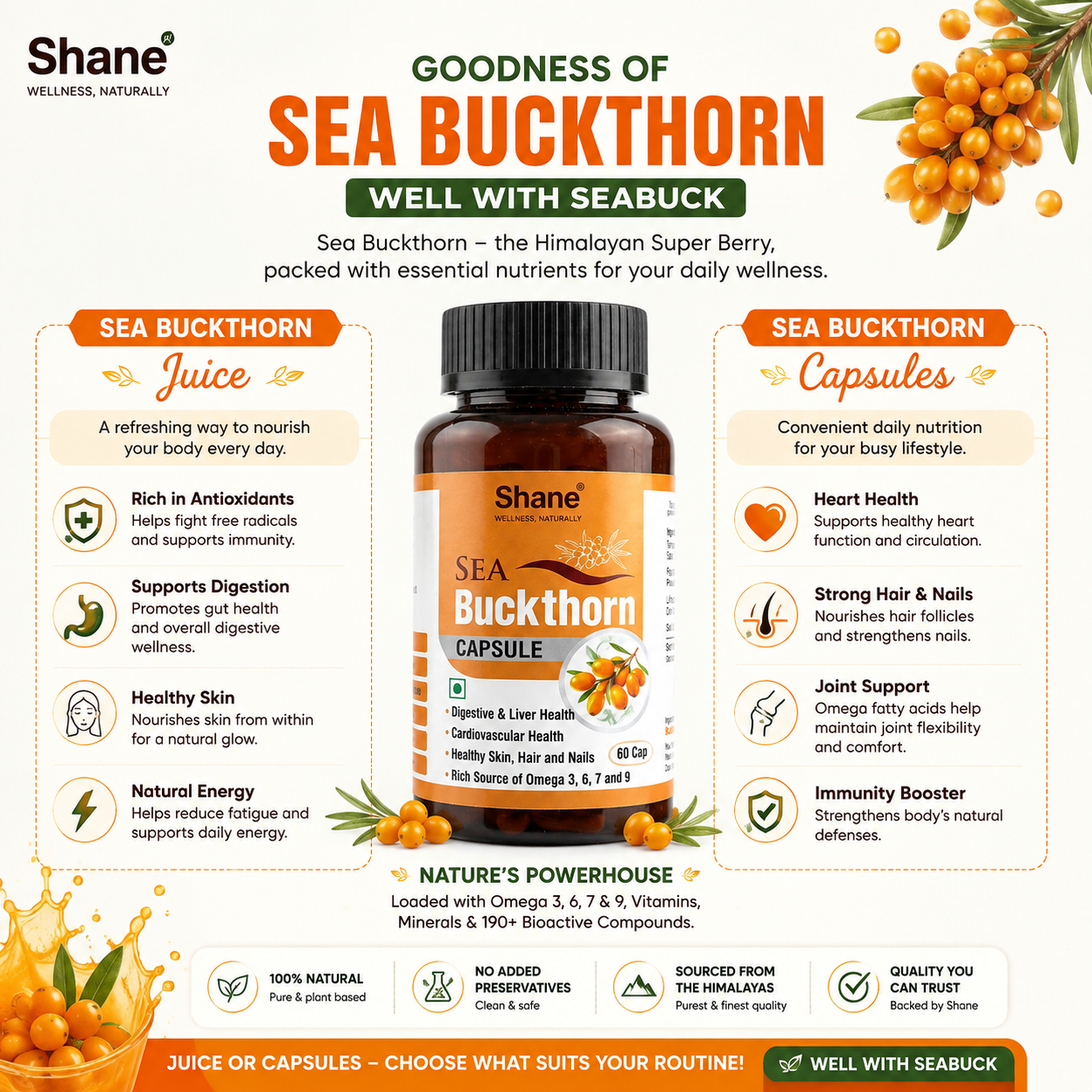 Shane Sea Buckthron Capsule - Image 4