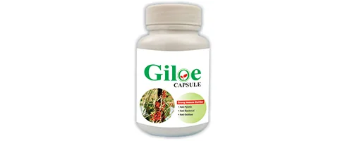 Giloe Capsule