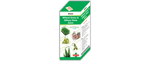 Wheatgrass and Giloye steam Juice