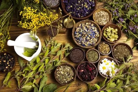 6 Powerful Ayurvedic Herbs for Amazing Health Benefits